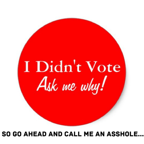 Why I Did Not Vote…
