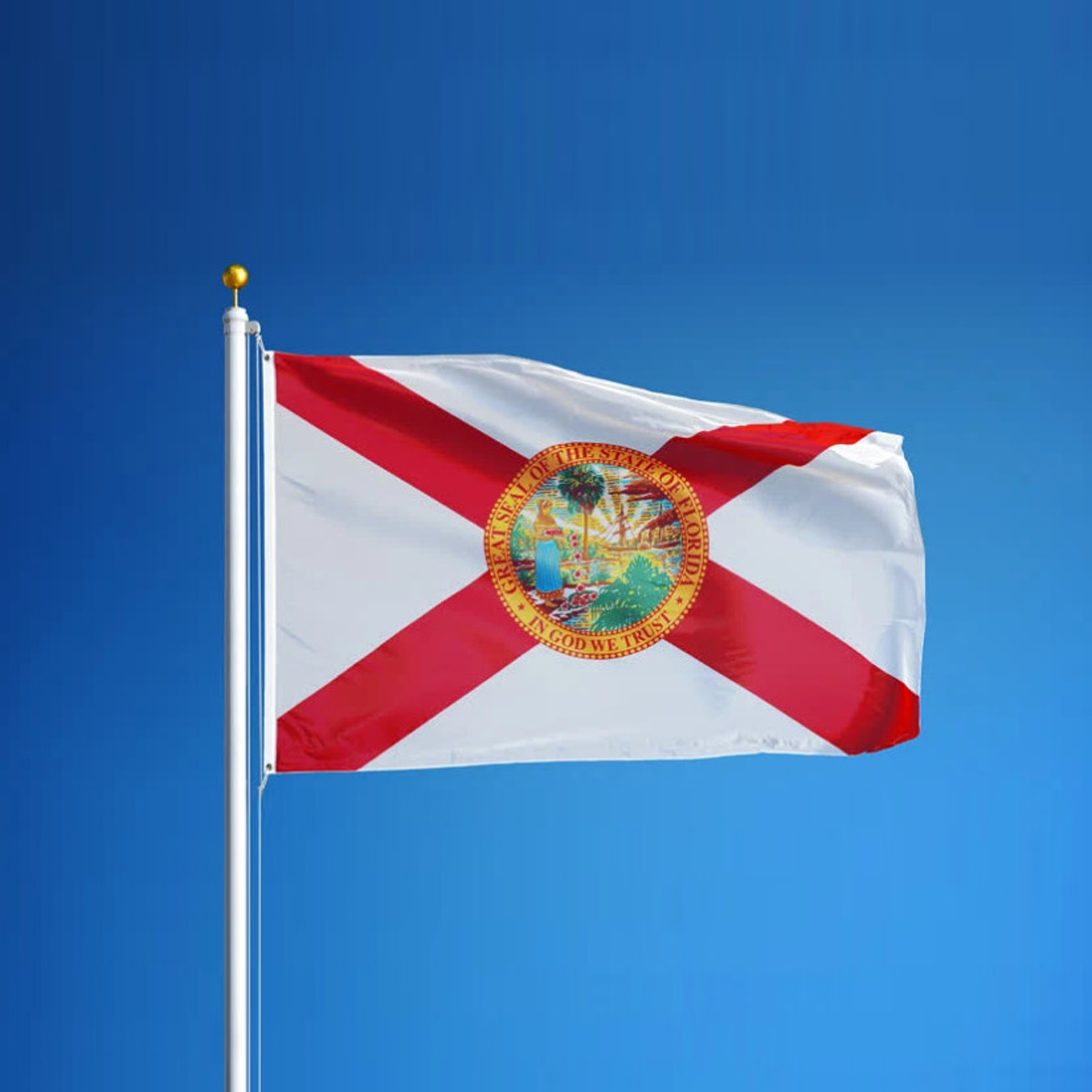 FL Flag