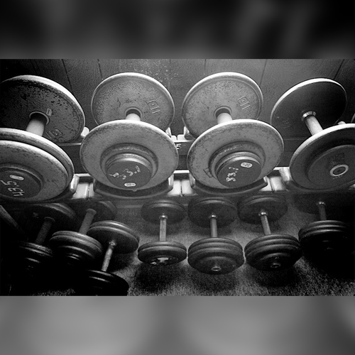 a lifter’s diary… Volume 3